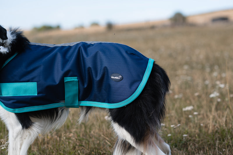 Classic Waterproof Dog Coat 150g - Navy - image 2 - Wellbeing Pets