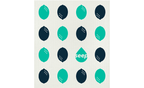 Compostable Sponge Cloths 2-Pack | Plastic-Free Cleaning Cloths