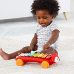 Skip Hop Explore & More Fox Xylophone