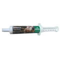 Global Herbs Defence Paste for Dogs | 30ml - Wellbeing Pets