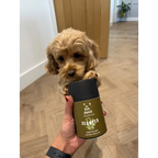 Dental Seaweed Powder for Dogs & Cats by The Pets Larder – image 3