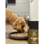 Dental Seaweed Powder for Dogs & Cats by The Pets Larder – image 2