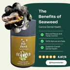 Dental Seaweed Powder for Dogs & Cats by The Pets Larder – image 4