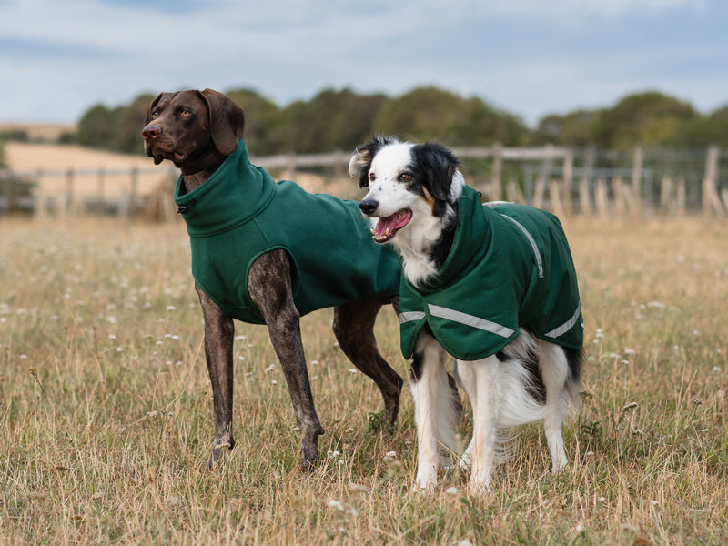 Luxe Waterproof Dog Coat 250g - Hunter Green - image 8 - Wellbeing Pets