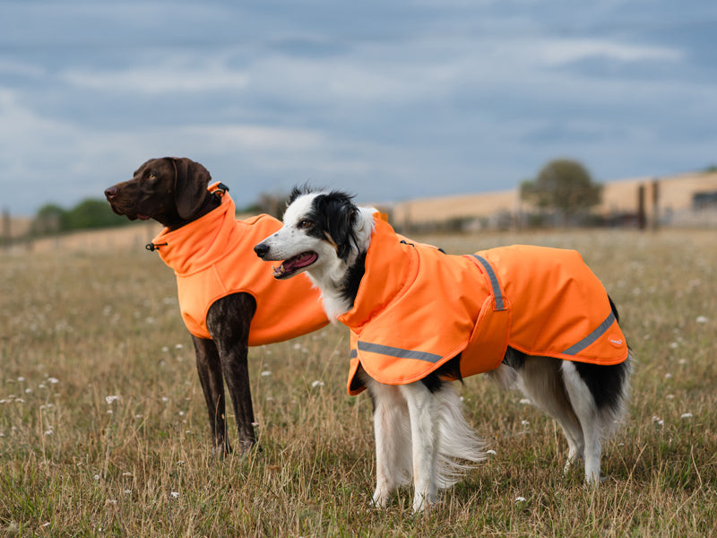 Luxe Waterproof Dog Coat 250g - Orange High Viz - image 7 - Wellbeing Pets