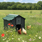 Easicoop Eco HPL Chicken Coop | Up to 5 Medium Birds - Wellbeing Pets