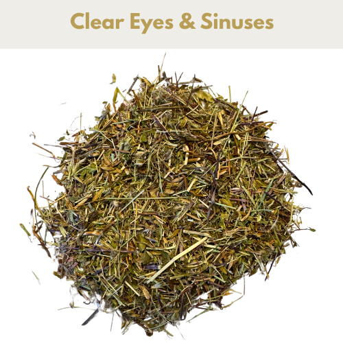 Eyebright for Horses