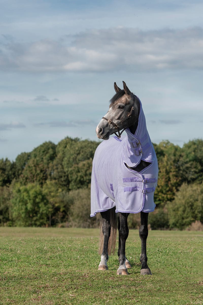 Fleece Rug With Neck Cover - Violet - image 2 - Wellbeing Pets