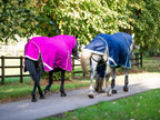 450g Ultimate Fixed Neck Turnout Rug - Mulberry - image 4 - Wellbeing Pets