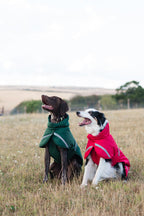 Luxe Waterproof Dog Coat 250g - Hunter Green - image 6 - Wellbeing Pets