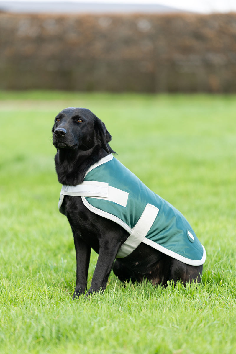 Classic Waterproof Dog Coat 240g - Hunter Green - image 2 - Wellbeing Pets