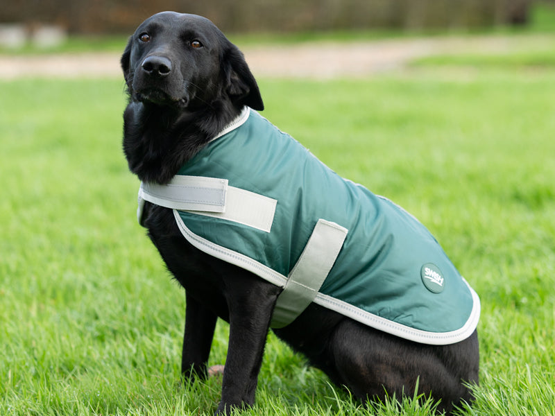 Classic Waterproof Dog Coat 240g - Hunter Green - Wellbeing Pets