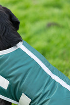 Classic Waterproof Dog Coat 240g - Hunter Green - image 5 - Wellbeing Pets