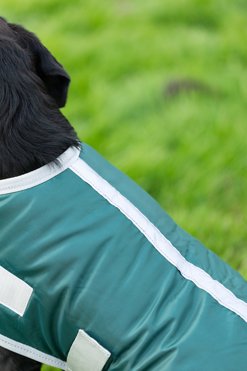 Classic Waterproof Dog Coat 240g - Hunter Green - image 5 - Wellbeing Pets