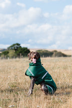 Luxe Waterproof Dog Coat 250g - Hunter Green - image 2 - Wellbeing Pets