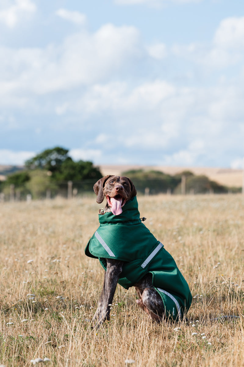 Luxe Waterproof Dog Coat 250g - Hunter Green - image 2 - Wellbeing Pets