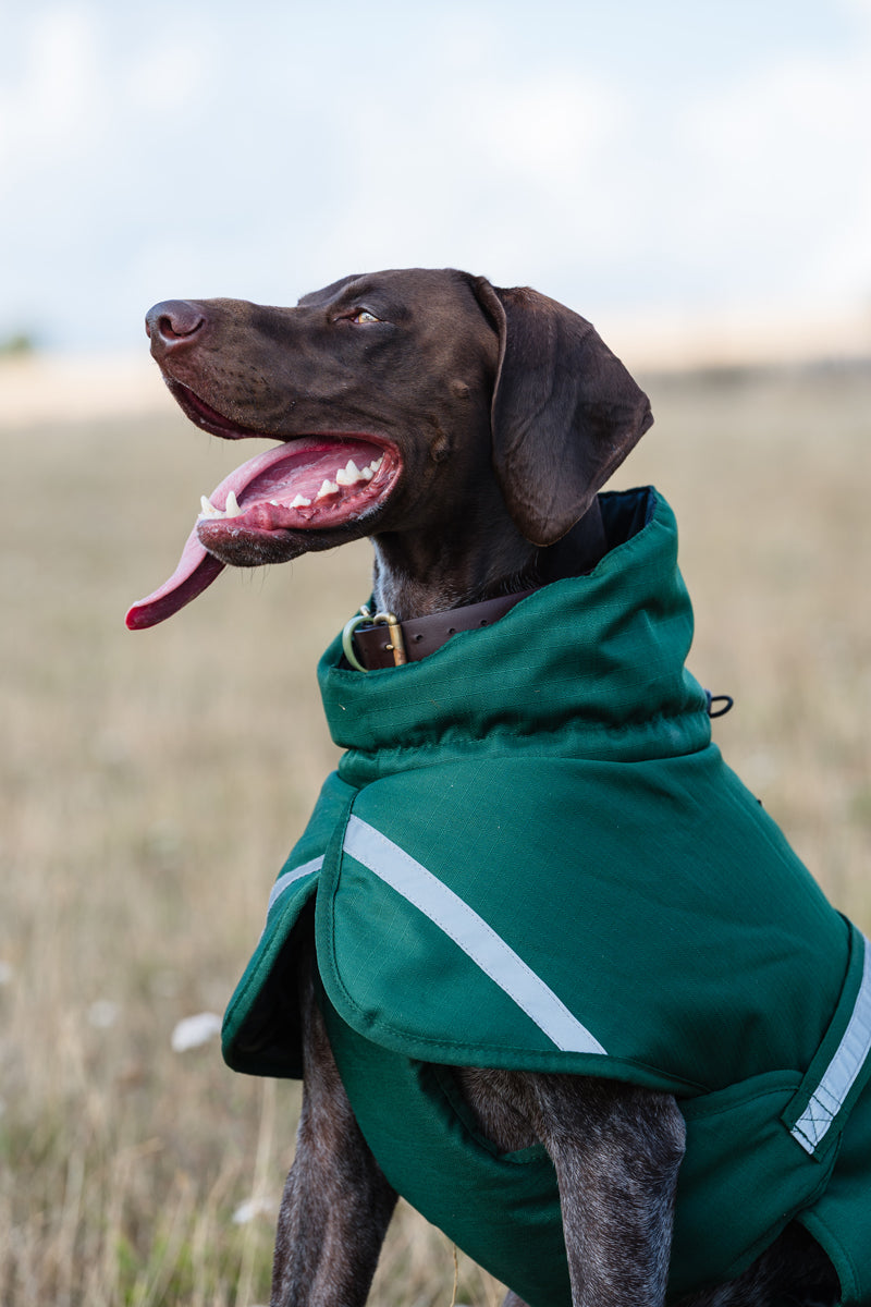 Luxe Waterproof Dog Coat 250g - Hunter Green - image 3 - Wellbeing Pets