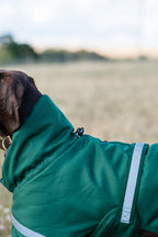 Luxe Waterproof Dog Coat 250g - Hunter Green - image 5 - Wellbeing Pets