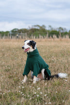 Fleece Dog Jumper - Hunter Green - image 2 - Wellbeing Pets