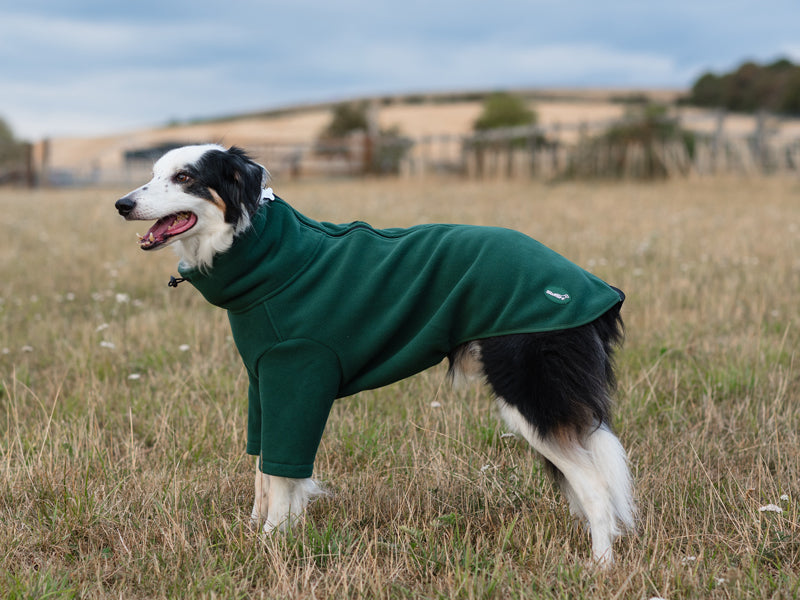 Wide Fit Fleece Dog Jumper - Hunter Green - Wellbeing Pets
