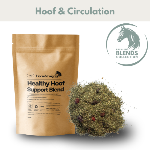 Healthy Hoof Support Blend for Horses