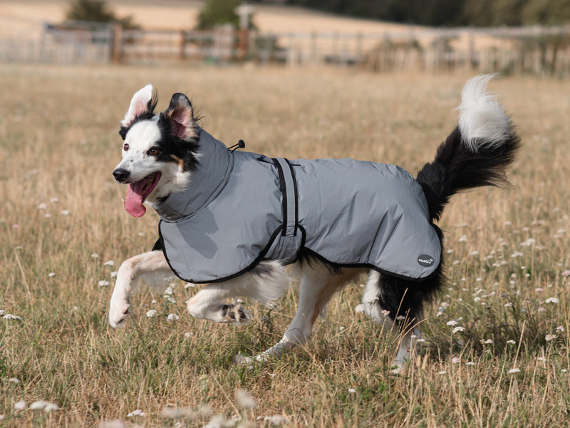 Luxe Waterproof Dog Coat 0g - Reflective Silver - image 2 - Wellbeing Pets