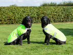 Classic Waterproof Dog Coat 240g - High Viz Yellow - image 4 - Wellbeing Pets