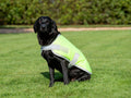 Classic Waterproof Dog Coat 240g - High Viz Yellow - Wellbeing Pets
