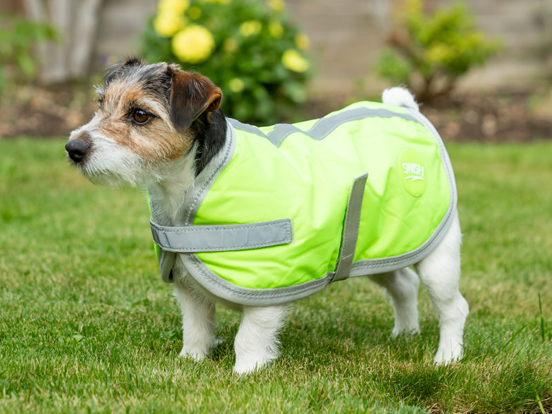 Classic Waterproof Dog Coat 240g - High Viz Yellow - image 2 - Wellbeing Pets