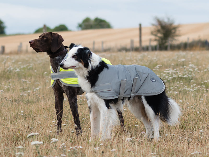 Classic Waterproof Dog Coat 150g - Reflective Silver - image 6 - Wellbeing Pets