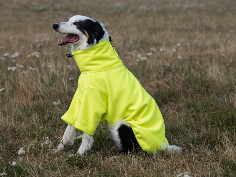 Fleece Dog Jumper - High Viz Yellow - image 5 - Wellbeing Pets