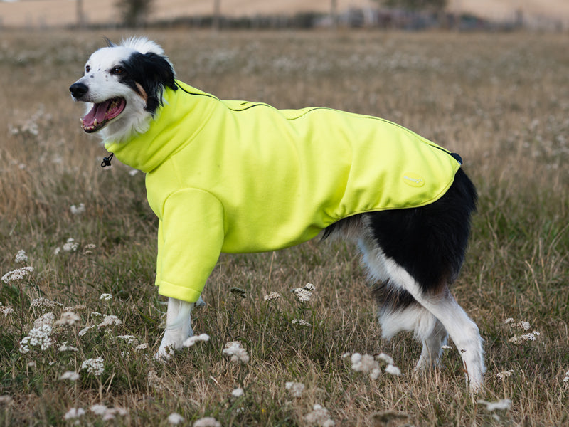 Wide Fit Fleece Dog Jumper - High Viz Yellow - Wellbeing Pets
