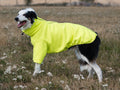 Fleece Dog Jumper - High Viz Yellow - Wellbeing Pets