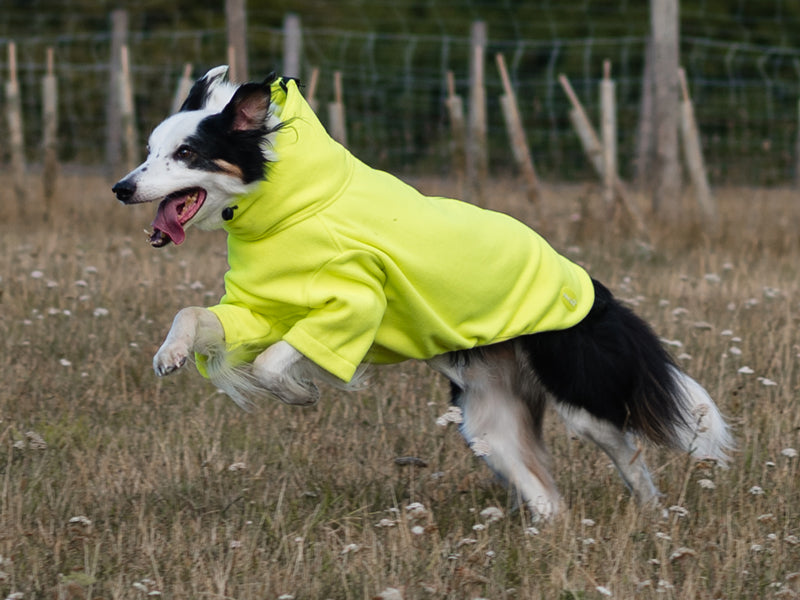 Wide Fit Fleece Dog Jumper - High Viz Yellow - image 5 - Wellbeing Pets