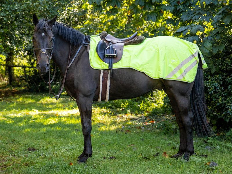 Waterproof Exercise Sheet - High Viz Yellow - image 3 - Wellbeing Pets