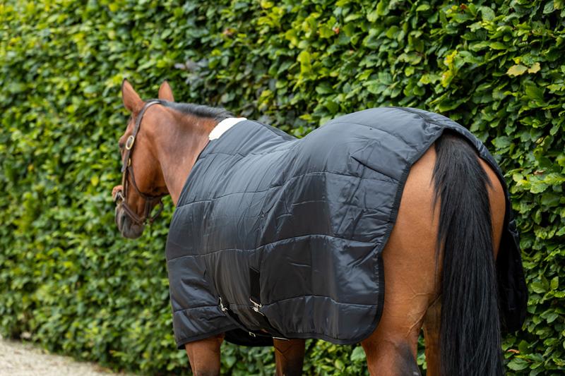 100g Horse Under Rug With Surcingles - image 4 - Wellbeing Pets