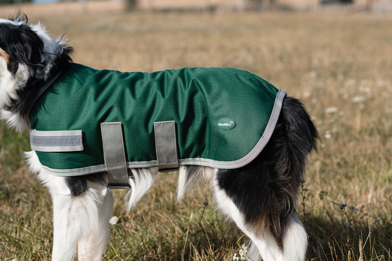 Classic Waterproof Dog Coat 150g - Hunter Green - image 2 - Wellbeing Pets