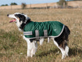 Classic Waterproof Dog Coat 150g - Hunter Green - Wellbeing Pets