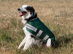 Classic Waterproof Dog Coat 150g - Hunter Green - image 3 - Wellbeing Pets