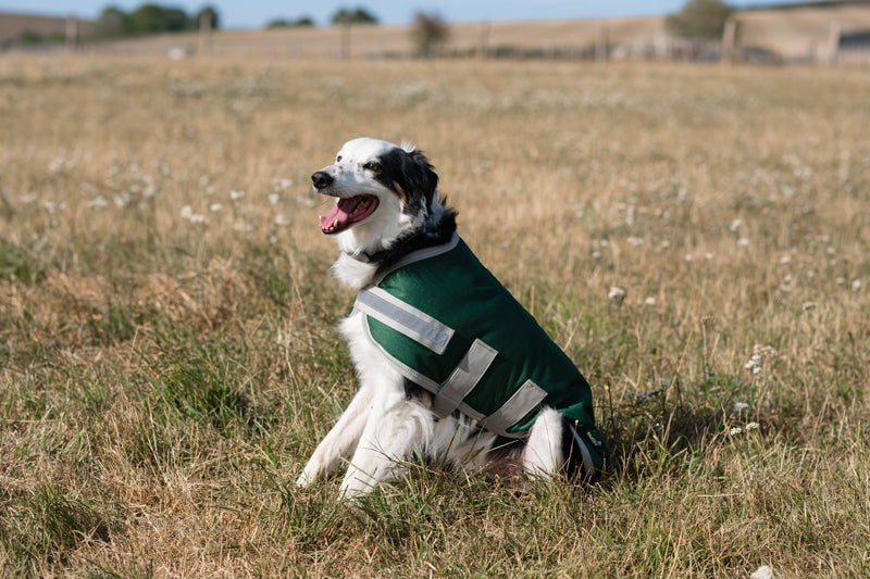 Classic Waterproof Dog Coat 150g - Hunter Green - image 4 - Wellbeing Pets