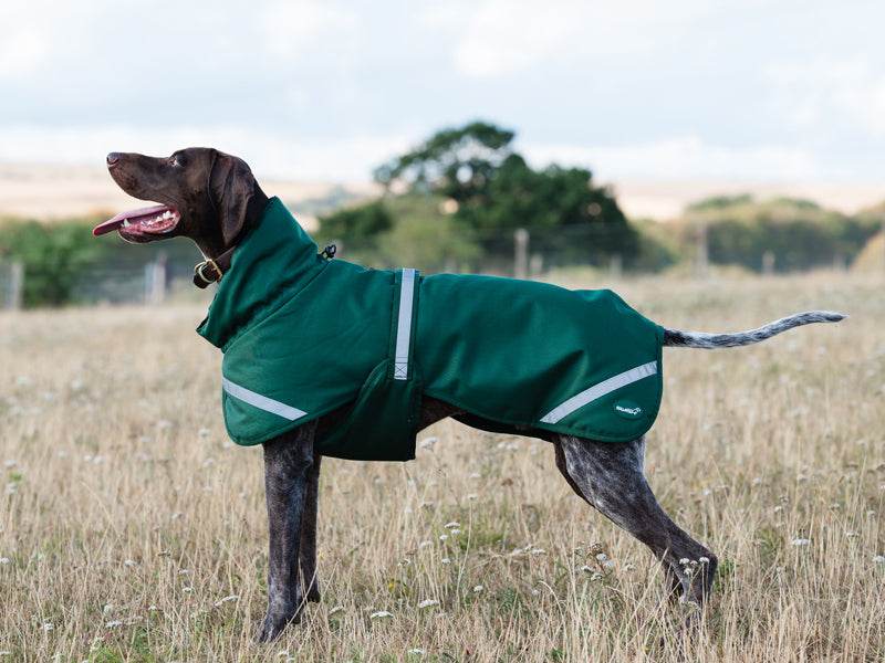 Luxe Waterproof Dog Coat 250g - Hunter Green - Wellbeing Pets