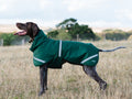 Luxe Waterproof Dog Coat 250g - Hunter Green - Wellbeing Pets