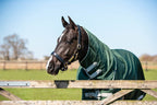 50g Detachable Neck Turnout Rug - Hunter Green - image 3 - Wellbeing Pets