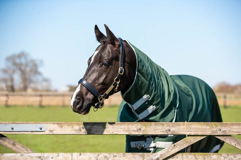 100g Detachable Neck Turnout Rug - Hunter Green - image 3 - Wellbeing Pets