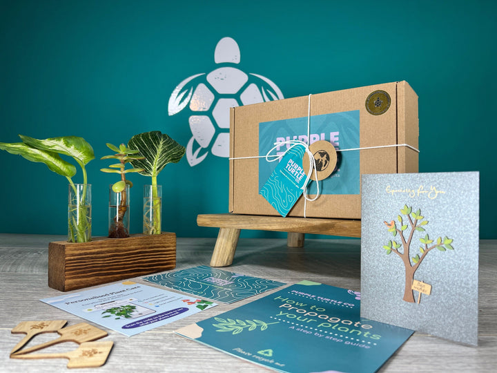 Plant Propagation Gift Set #6