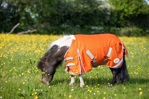 MINI 50g Turnout Rug - Orange - Wellbeing Pets