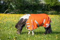 MINI 50g Turnout Rug - Orange - Wellbeing Pets