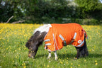 MINI 50g Turnout Rug - Orange - Wellbeing Pets