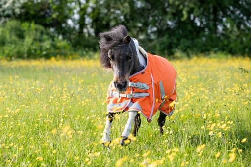 MINI 50g Turnout Rug - Orange - image 4 - Wellbeing Pets