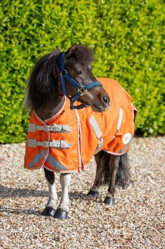 MINI 50g Turnout Rug - Orange - image 2 - Wellbeing Pets